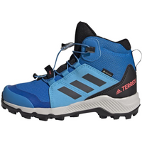 Adidas Terrex Mid Gtx K Jr GY7682 shoes