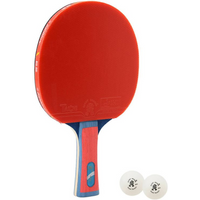 Giant Dragon 4★ N804 Table Tennis Racket