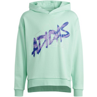 Adidas D Hoody Jr HR5825 sweatshirt
