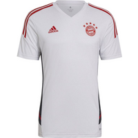 Adidas FC Bayern Training M HB0621 jersey