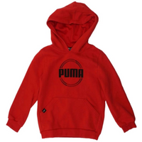 Puma DCT Hoodie Jr 849258 sweatshirt 11