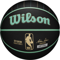 Wilson NBA Team City Collector Charlotte Hornets Ball WZ4016404ID basketball