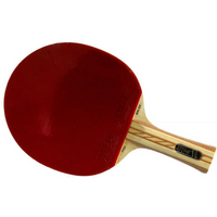 Atemi 4000 table tennis bats