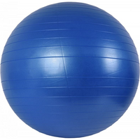 Gym ball 65 cm + pump