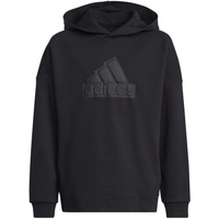 Sweatshirt adidas FI Logo HD Jr. HR6301