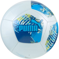 Puma MCFC Football Ingry 84546 75