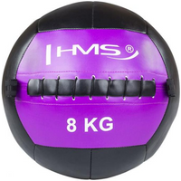 HMS Wall Ball WLB 8 kg