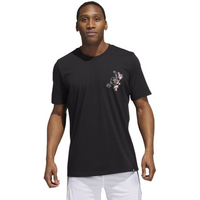 T-shirt adidas Skates Tee M HK6723