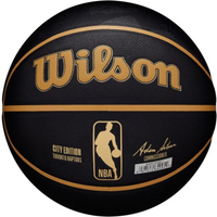 Wilson NBA Team City Collector Toronto Raptors Ball WZ4016428ID basketball