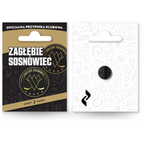 Zagłębie Sosnowiec Premium Pin SREB-ZS-PIN