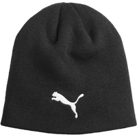 Puma Individual Winterized Tech M 024943 01 cap