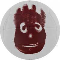 Volleyball Wilson Mr Castaway WTH4615