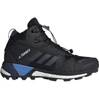 Shoes adidas Terrex Skychaser Gtx W EE9391