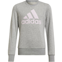 Sweatshirt adidas Big Logo Swt Jr HM8706