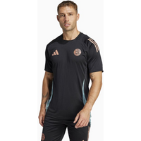 Adidas FC Bayern Training T-shirt M JSY JI5272