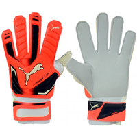 Puma Evo Power Grip 2 Aqua 41145 30 Goalkeeper gloves