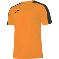 Joma Academy III T-shirt S/S 101656.881