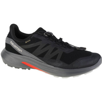 Running shoes Salomon Hypulse Gtx M 415959
