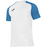 Joma Academy IV Sleeve football shirt 101968.207