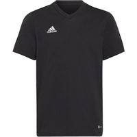 Tee adidas Entrada 22 Jr HC0443