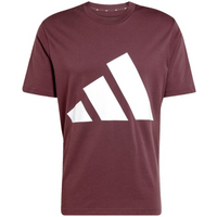 adidas Essentials Big Logo T-shirt M JE8939
