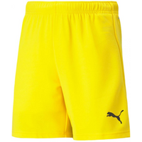 Puma teamRise Short Jr 704943 07