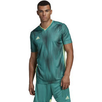 Adidas Tiro 19 JSY M DP3536 football jersey