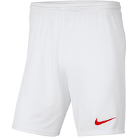 Nike Y Park III Jr BV6865 103 shorts