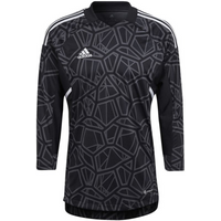 Adidas Condivo 22 Jersey Long Sleeve M HB1615 goalkeeper shirt