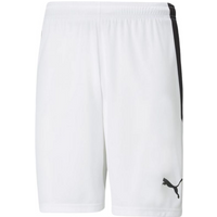 Puma team shortsLIGA M 704924 04