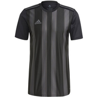 Tee adidas Striped 21 JSY M GN7625