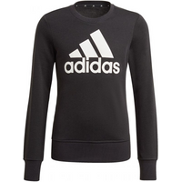 Sweatshirt adidas Essentials Big Logo Jr GP0040