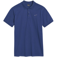 Polo shirt 4F M367 M 4FWMM00TPTSM367 031S