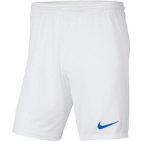 Nike Y Park III Jr BV6865 104 shorts