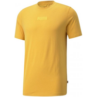 Puma Modern Basics Tee M 589345 37