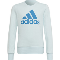 Sweatshirt adidas Big Logo Swt Jr HM8707