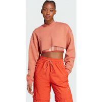 Adidas by Stella McCartney TrueCasual Cropped Sportswear Sweatshirt W HT1111