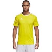 Adidas Entrada 18 CD8390 football jersey
