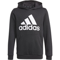 Adidas Essentials Jr GN4027 Hoodie