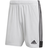 Adidas Tastigo 19 Shorts M DP3247 shorts