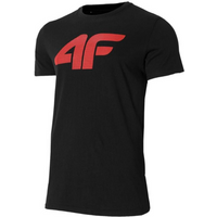 T-shirt 4F M H4Z22 TSM353 21S