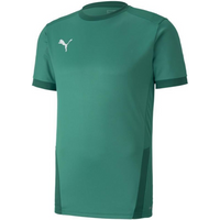 Puma teamGOAL 23 Jersey M 704171 05