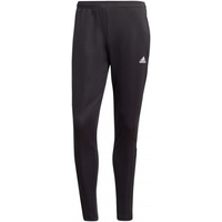 Adidas Tiro 21 Track W GM7310 pants