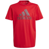 T-shirt adidas Big Logo Tee Jr IJ6262