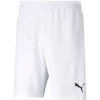 Puma teamRISE Short M 704942 03