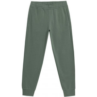 Outhorn M HOL22 SPMD600 40S pants