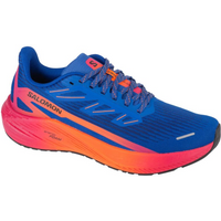 Salomon Aero Blaze 2 ISD M 474646 running shoes