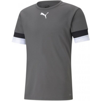 T-shirt Puma teamRISE Smoked M 704932 13
