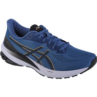 Asics GT-1000 12M shoes 1011B631-401