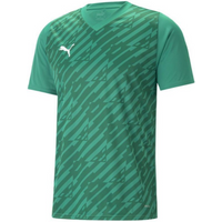 Puma teamUltimate M T-shirt 705371 05